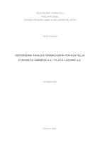 USPOREDNA ANALIZA FINANCIJSKIH POKAZATELJA PODUZEĆA AMINESS D.D. I PLAVA LAGUNA D.D.