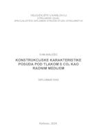 KONSTRUKCIJSKE KARAKTERISTIKE POSUDA POD TLAKOM S CO2 KAO RADNIM MEDIJEM