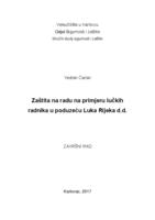 Zaštita na radu na primjeru lučkih radnika u poduzeću Luka Rijeka d.d.