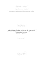 Vatrogasna intervencija pri gašenju šumskih požara